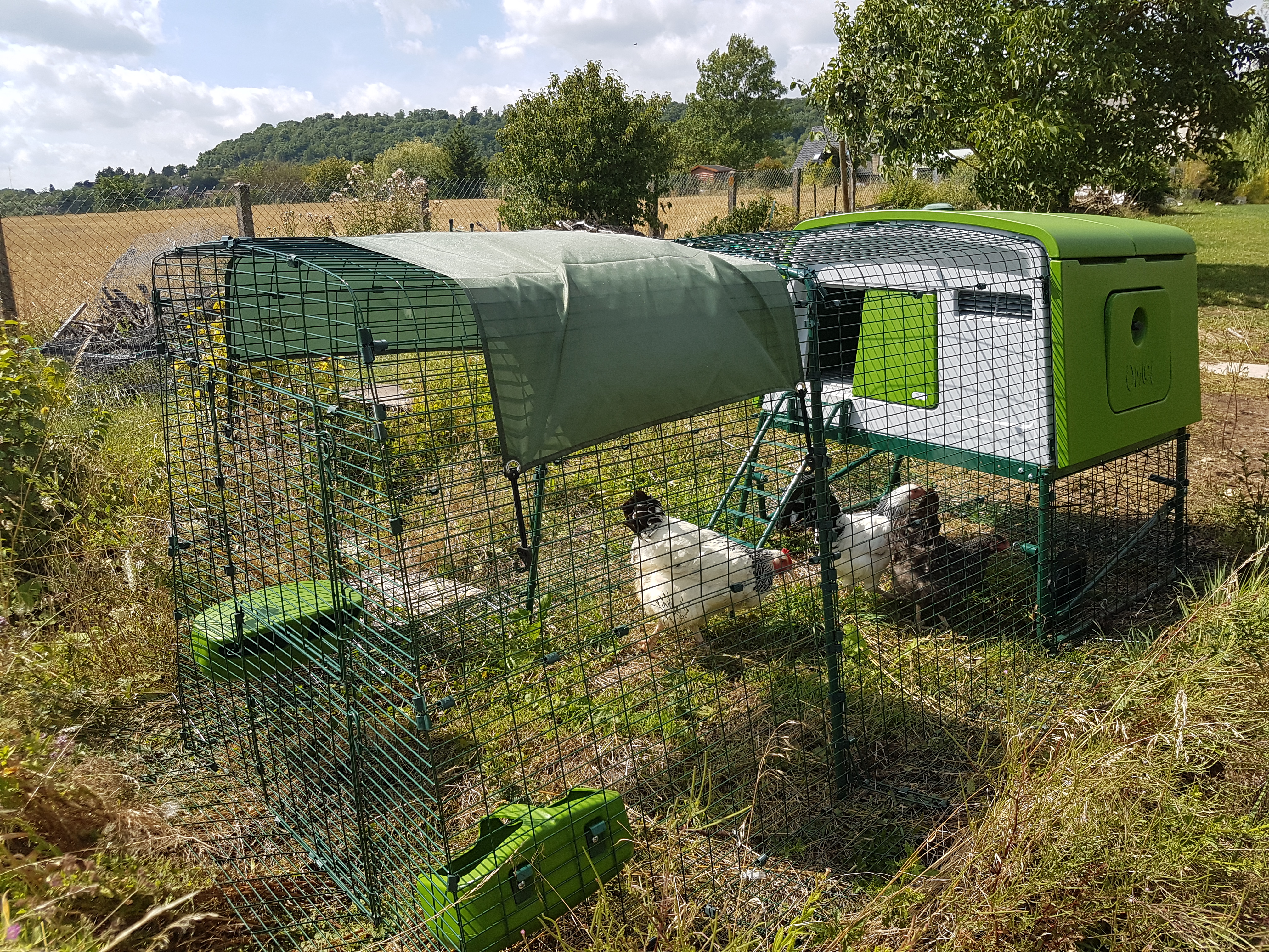 New Eglu Cube Chicken Coop Chicken Keeping Equipment Omlet