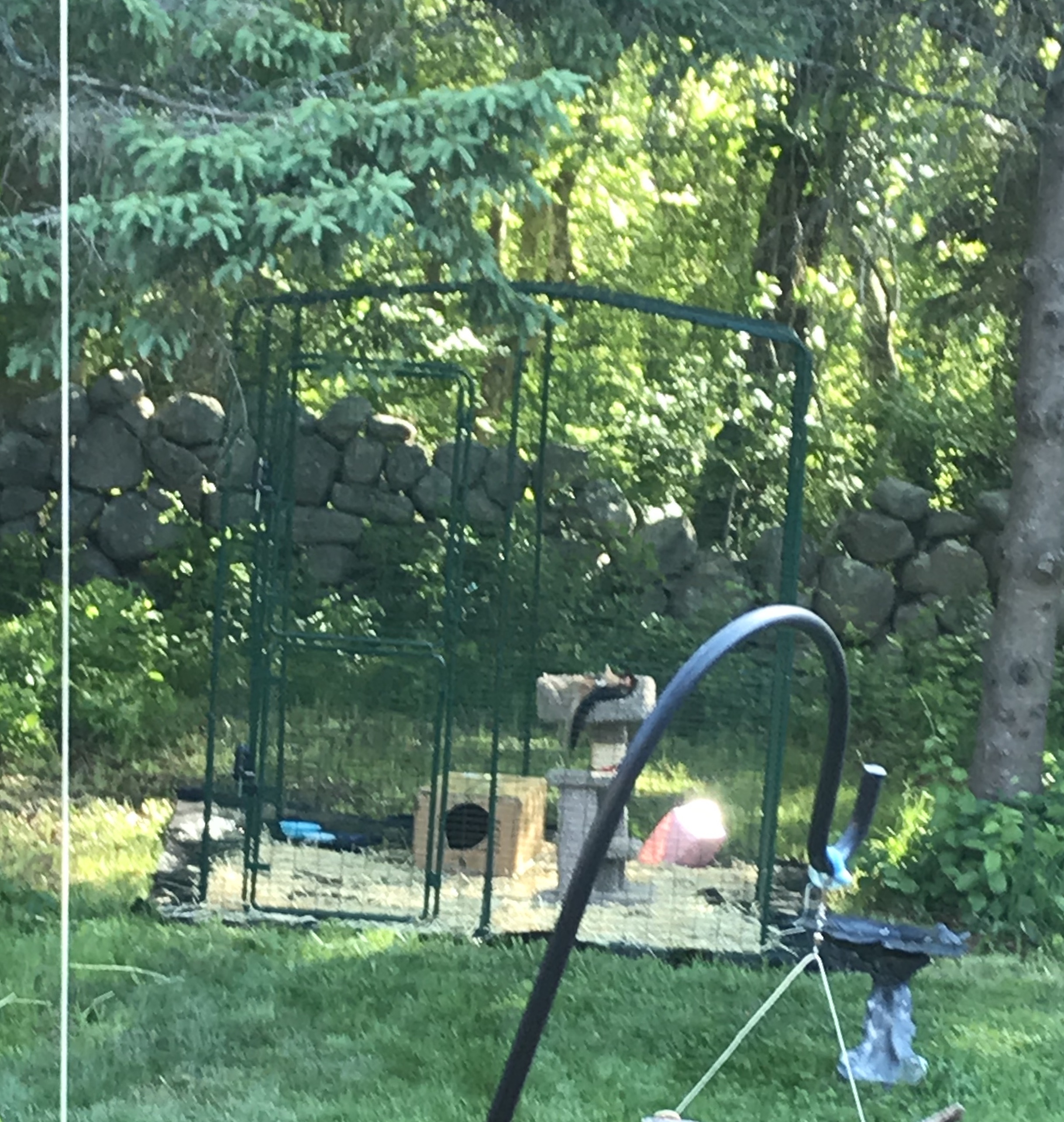 Outdoor Cat Run Outdoor Cat Runs, Indoor Cat Houses, Luxury Cat Beds