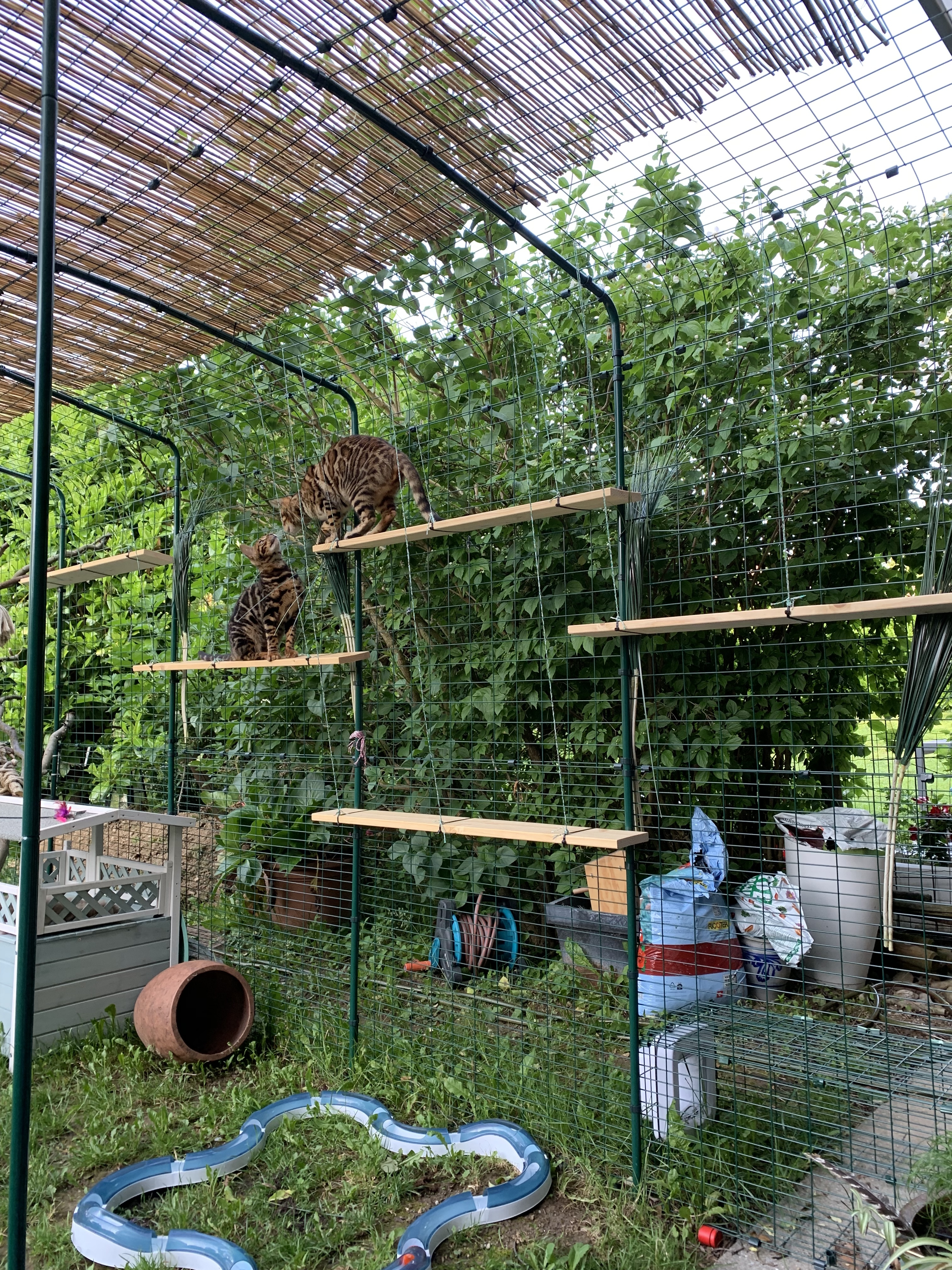 Outdoor Cat Run Outdoor Cat Runs, Indoor Cat Houses, Luxury Cat Beds and more Omlet