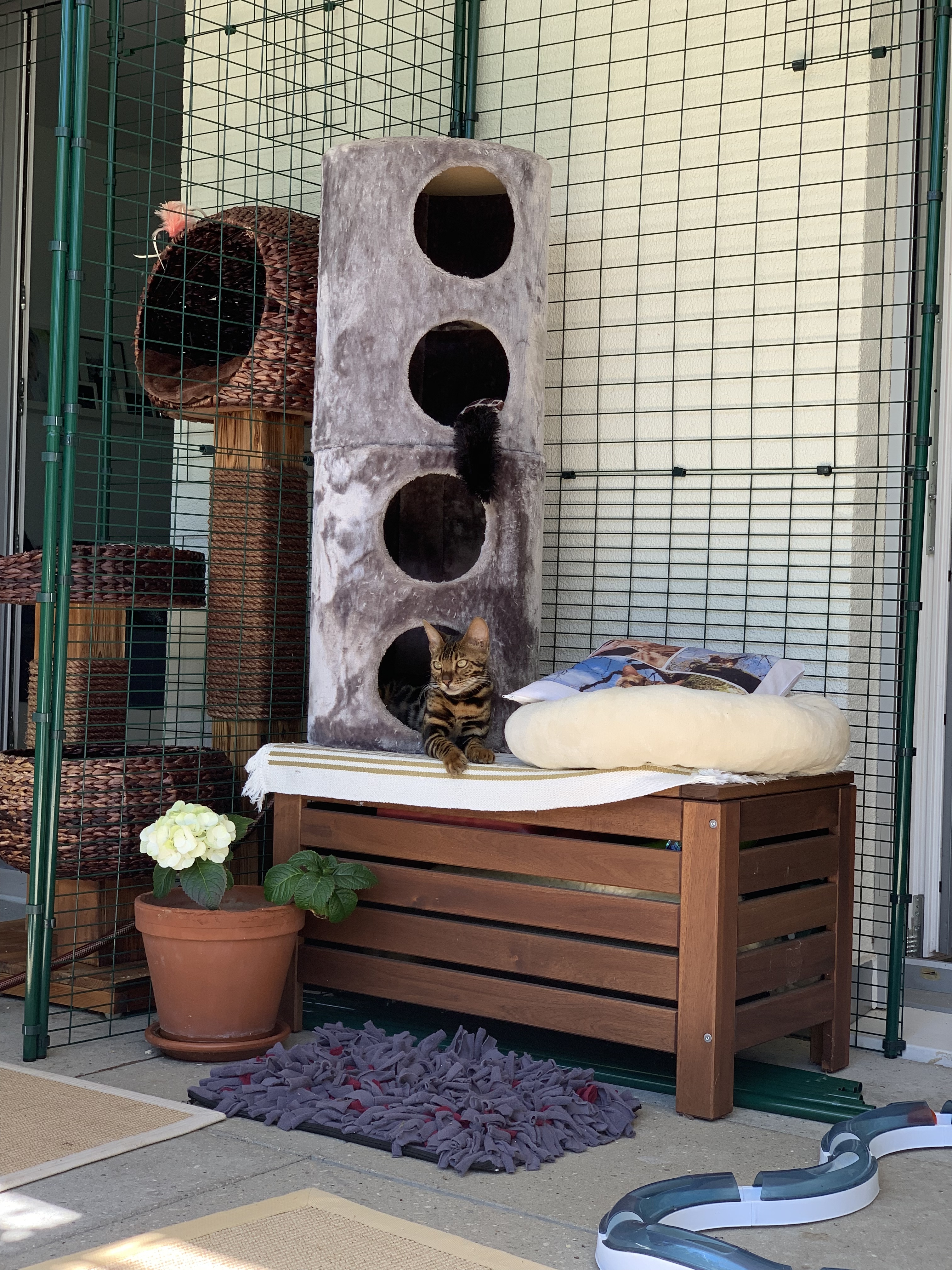 Outdoor Cat Run Outdoor Cat Runs, Indoor Cat Houses, Luxury Cat Beds