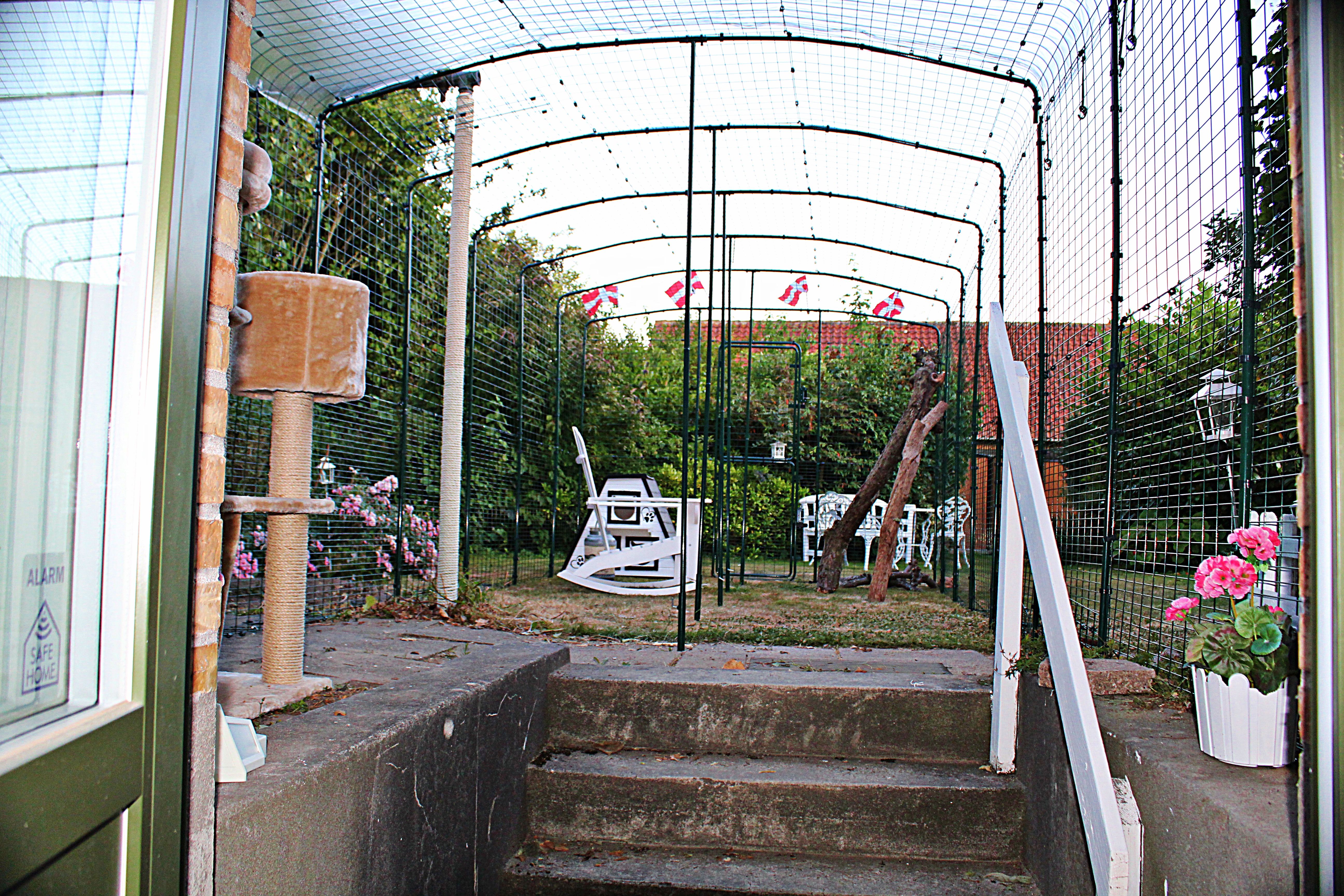 Outdoor Cat Run Cat Products Omlet