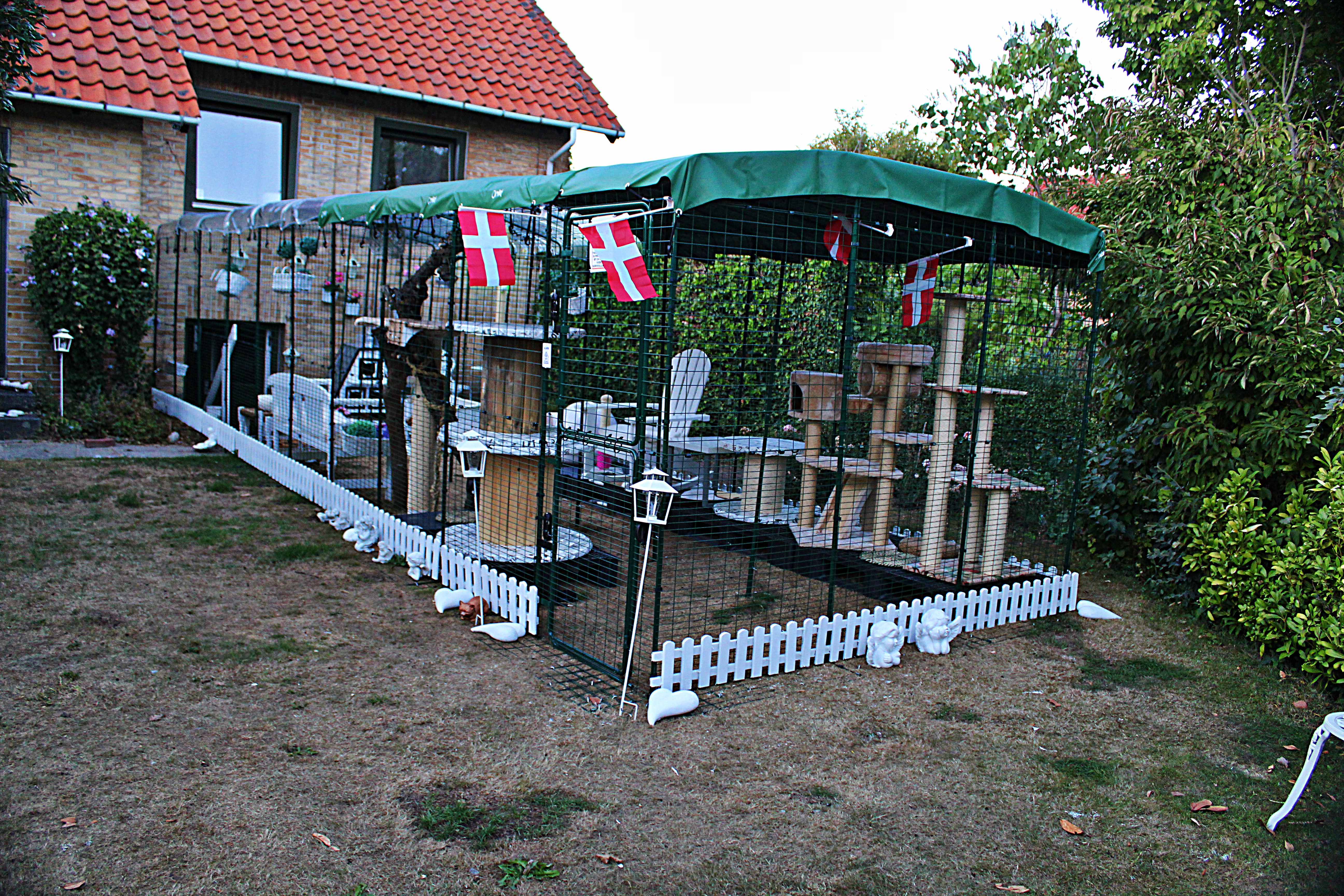 Outdoor Cat Run Cat Products Omlet