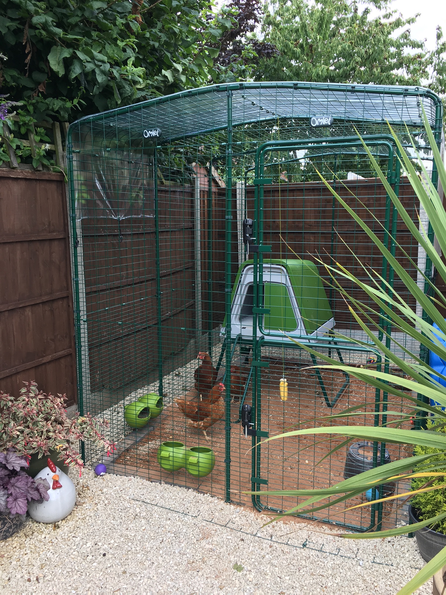 Reviews For Walk In Chicken Run Chicken Keeping Omlet