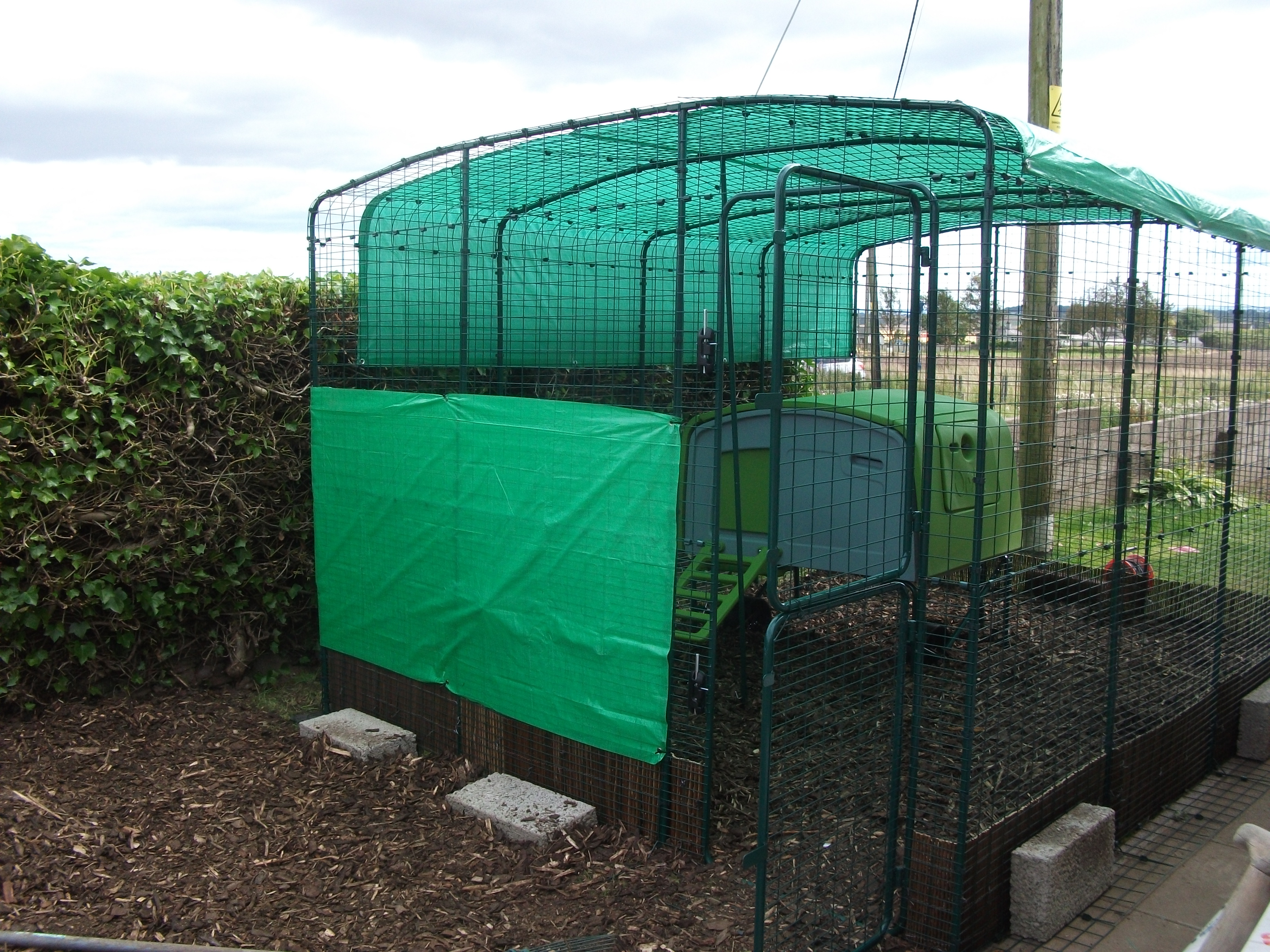 Walk In Chicken Run Chicken Keeping Equipment Omlet